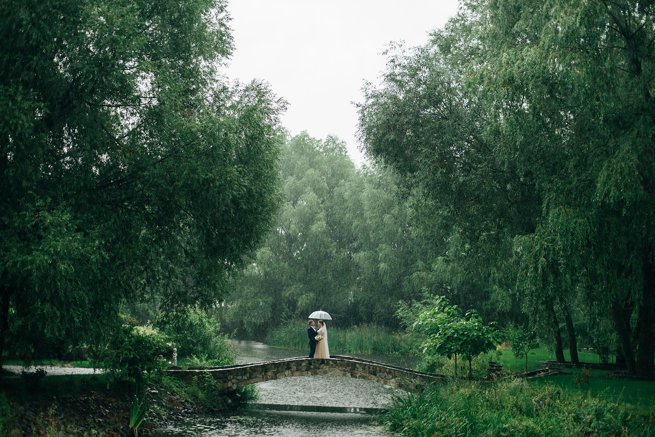 park, rain, wedding, couple, wedding day, nature, wedding photography, raining, trees, forest, landscape, rain, rain, rain, rain, rain, wedding, raining