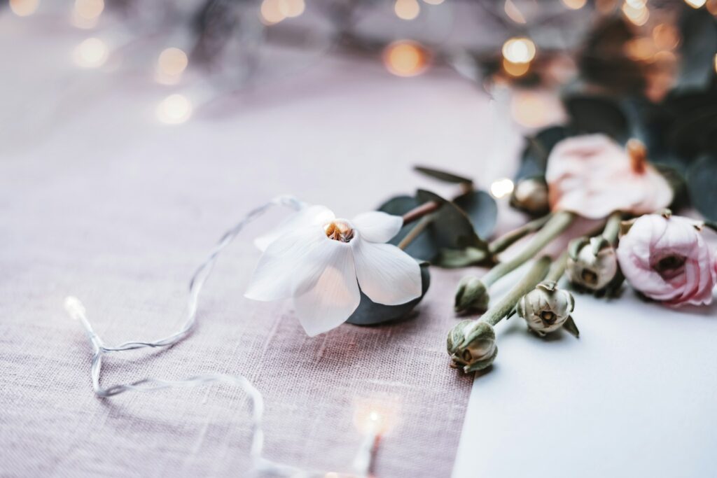 a white flower sitting on top of a table